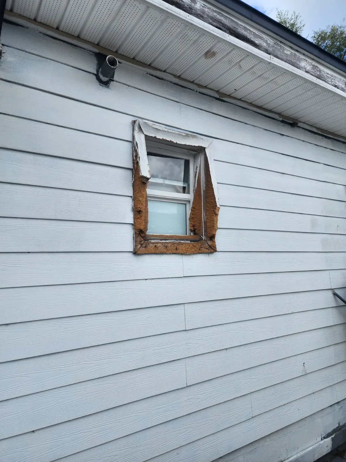 Before: window with damaged, rotted trim in the siding